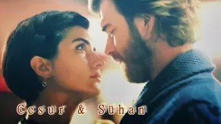 في عيونك   اليسا    جسور وسوهان    جسور والجميلة دندنها