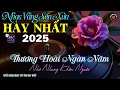Download Lagu Nhạc TÌNH CA BOLERO Trữ Tình HAY NHẤT 2025 - Nhạc Vàng Sến Xưa Tâm Trạng ĐẶC BIỆT HAY ÊM TAI