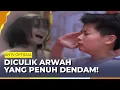 Download Lagu Akhir dari Dendam Arwah Korban Jugun Ianfu! | Roy Kiyoshi Anak Indigo ANTV | Eps 44 Part 5