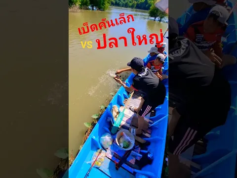 คันใหม่ หักไหม???  ใครอยากได้แบบนี้ดูในเม้นต์ #คันเบ็ดสั้นจิ๋ว #ตกปลา #ทิกเกอร์
