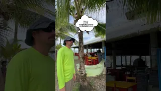 Perks of living on a Caribbean Island #coconut  #coconutwater  #islandlife #sailingbyefelicia