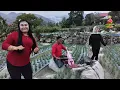 Download Lagu RABAB DISCO NIKAH SASUKU RYAN PEMI DESI NDIAH