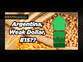 Lagu Grain Market Bounce, but Why?? Argentina? E15? Weak Dollar?