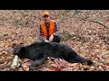 How to HUNT BLACK BEARS without HOUNDS or BAIT