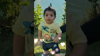 شبر بندر عم ربيك ياعمري 