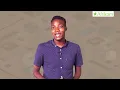 Word Processing Meaning Of Word Processing And Its Basic Features Computer Science SS1