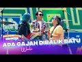 Download Lagu WALI - Ada Gajah Dibalik Batu | DAHSYATNYA WEEKEND