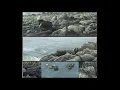Download Lagu #112 - Wildlife Images by Robert Bateman