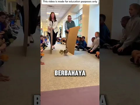 Sekolah