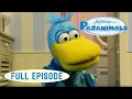 Download Lagu Pajanimals | Winning Isn't Everything / An Octopus Hug | Jim Henson Family Hub | Kids Cartoons