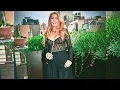 Blake Lively Biography Plus Size Model Curvy Instagram Stars Fashion Celebrity Wiki