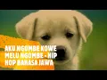 Lagu AKU NGOMBE KOWE MELU NGOMBE  - HIP HOP JAWA