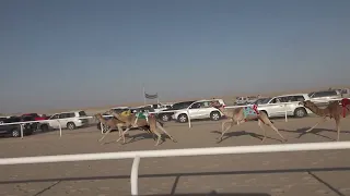 الغمرانه    علي بن جابر الودايع المري دندنها