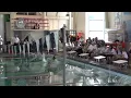 2016/01/23 Briseis 50M Free 8yr Girls OSC 10 & Under #2 E3H3