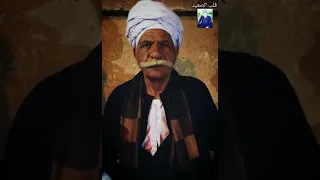 شيخ العرب فين ودو كان سبع  حامى قبيله دندنها