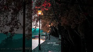 يلي بقلبك اسراري فاضل شاكر 