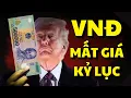 Download Lagu Tiền Việt Nam Chính Thức Mất Giá Kỷ Lục Nhất Mọi Thời Đại!