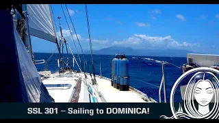 SSL 301 ~ Sailing to DOMINICA!