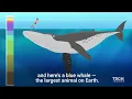 This Incredible Animation Shows How Deep The Ocean Really Is