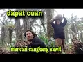 Download Lagu SYUKUR HARI INI MENCARI CANGKANG SAWIT//LUMAYAN TAMBAHAN BELANJA ANAK SEKOLAH 