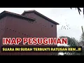 Lagu suara inap walet Pesugihan | suara walet terbaik 2022
