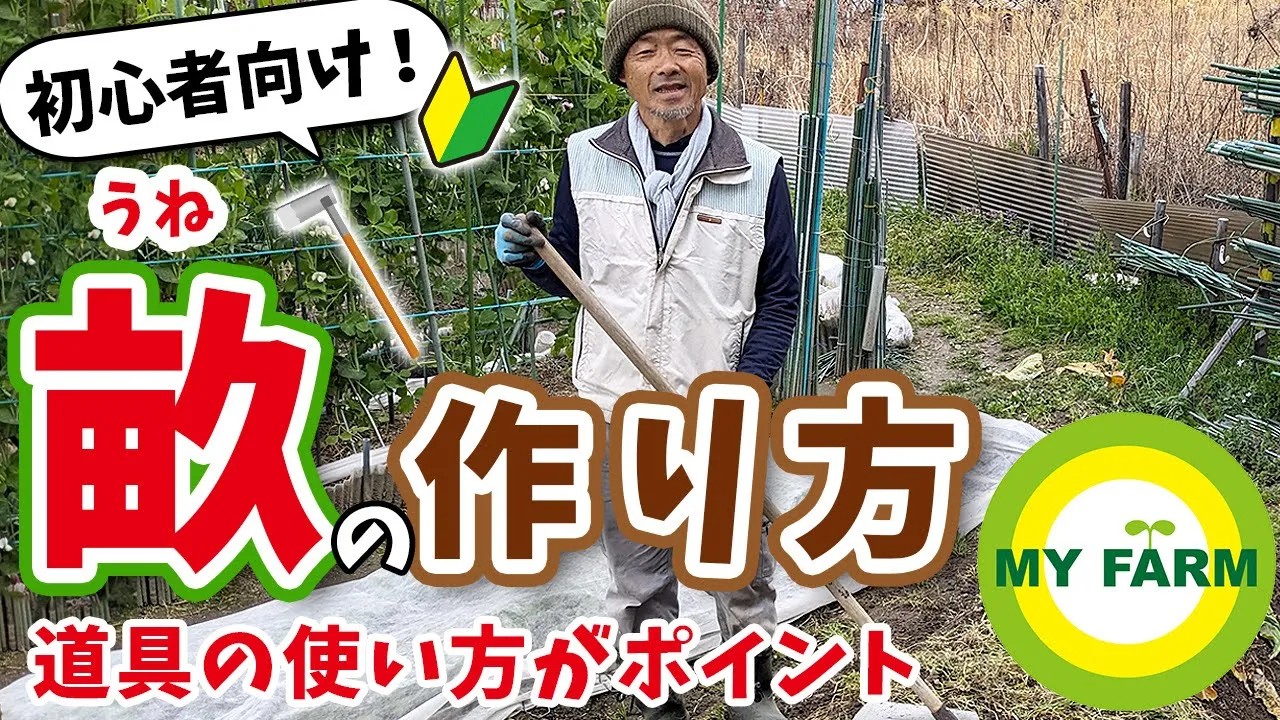 【畝立て】はじめての家庭菜園③ 畝(うね)の作り方を丁寧に実演解説します│有機栽培で野菜づくり
