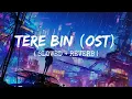 Download Lagu Tere Bin OST [Slowed+Reverb] Shani Arshad || Lo-Fi Mix (Lofi Music Channel)