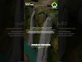 Lagu Surat At Takasur (ALAA AQEL)  #murotalmerdu #shortvideo