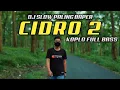 Lagu Dj CIDRO 2 Slow Tik Tok | Panas Panase Srengenge Kuwi | Dj Koplo Baper Full Bass