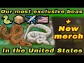 Download Lagu Onze meest EXCLUSIEVE boa's 🐍 zijn gearriveerd in de VS🇺🇸 + NIEUWE MERCHANDISE