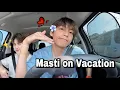Download Lagu BTS Holiday Trip 2024  // Hindi dub
