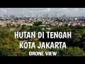 Download Lagu HUTAN KOTA SRENGSENG // FOOTAGE DRONE // DJI MINI 1