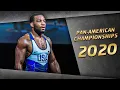 Pan-American Championships highlights 2020 WRESTLING