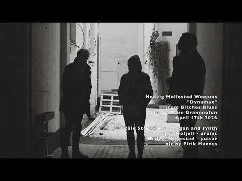 Hedvig Mollestad Weejuns - Dynamax