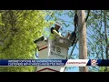8 Investigates Internet Options