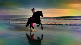 دانة حسين الجسمي 