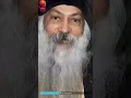 Download Lagu Samajhdaar insaan hai kaun. aap logo me se - Osho #osho #motivation #shortvideo #shortsfeed #shorts