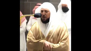 ف ك ب ك ب وا ف يه ا ه م و ٱل غ او ۥن و ج ن ود إ ب ل يس أ ج م ع ون الشيخ ماهر المعيقلي 