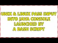 Unix Linux Pass input into Java console launched by a Bash script 2 Solutions
