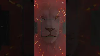 ٢٨ أكتوبر ٢٠٢٥ 