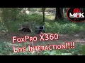 Real Live Coyote Interaction With The FoxPro X360
