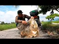 Download Lagu Sekali Campak Jala Penuh Lampam Merah Besar2 Tarikkan Yang Mengoncang Puas Hati Hasil s407