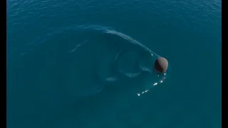 Interactive Waves in Unity RP Water - Tutorial