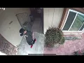 Thief Steals FedEx Door Tag in Broad Daylight Caught on CCTV at 1 PM