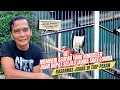 Download Lagu BASARNAS Kacer yang selalu bawa juara tiap pekan 😱