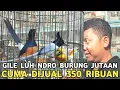 Lagu ROBIN JTN 450 RIBU SURIWANG PUTIH 350 RIBU MURAI BATU GACORAN 700 RIBU DI KIOS LANGGENG JAYA PRAMUKA
