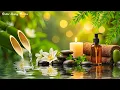 Download Lagu Calming Music for Sleep 😴 Eliminate Stress, Anxiety and Depression, Spa Music Relax Mind and Body