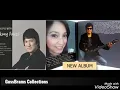 Download Lagu Ikang Fawzi - Aku Cinta Kamu ( versi Akustik )