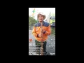 Download Lagu KONDISI BANJIR TERKINI DI JALAN LINTAS TIMUR KM 83 KEMANG-PANGKALAN KERINCI@marsudimondos4477