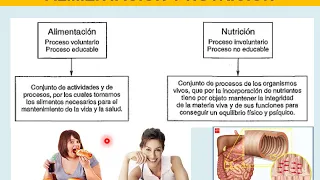 BROMATOLOGIA: INTRODUCCION